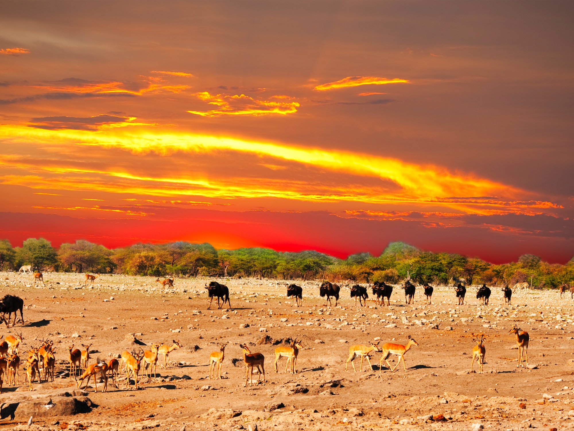 Roadtrip en Namibie, pays des grands espaces