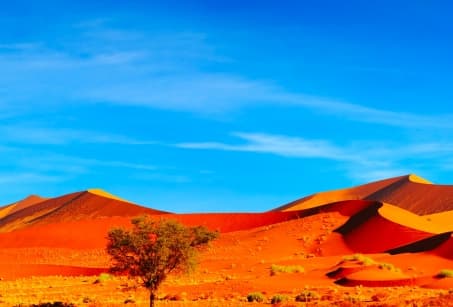 Premier pas en Namibie, des dunes au parc Etosha