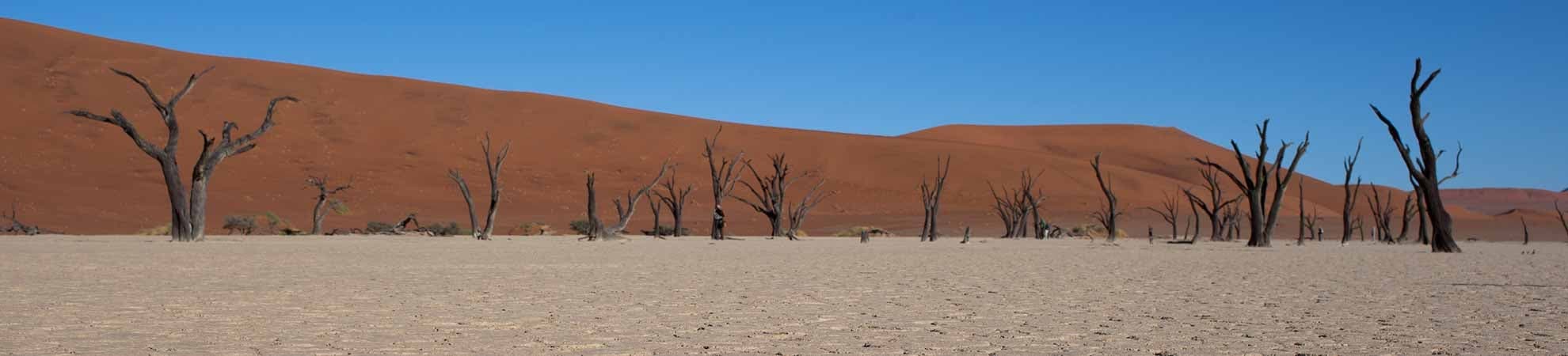 Voyage Le désert de Namib et plaines côtières - Namibie