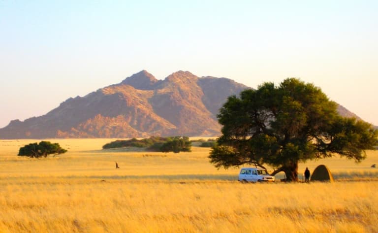 Les activités safari proposées par les Lodges